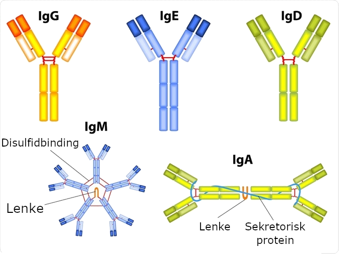 Antistoffer illustrasjon
